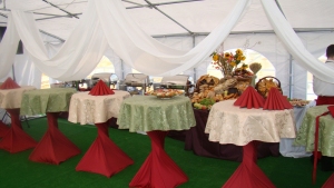 Párty stan PVC 5x8 PREMIUM LUX