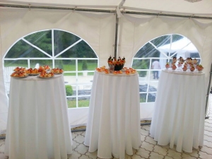 Párty stan PVC 5x8m PREMIUM